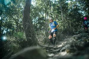 BIB: 
                            <button type="button" onclick="openModal(25991312)" class="btn btn-primary btn-sm float-right btn-popup" data-toggle="modal" data-target=".modal-high-quality">
                        <i class="fas fa-shopping-cart"></i> Add to Cart
                    </button>
                                            <button type="button" onclick="isThisMe(25991312, true)" class="btn btn-success btn-sm float-right btn-popup btn-isme hidden" data-toggle="tooltip" data-placement="bottom" title="นี่คือรูปของคุณใช่ไหม คลิกที่นี่เพื่อเอาเข้าอัลบั้ม">
                        <i class="fas fa-plus"></i> Add to album
                    </button>
                    <button type="button" onclick="isThisMe(25991312, false)" class="btn btn-warning btn-sm float-right btn-popup btn-isnotme hidden">
                        <i class="fas fa-ban"></i> Remove from album
                    </button>